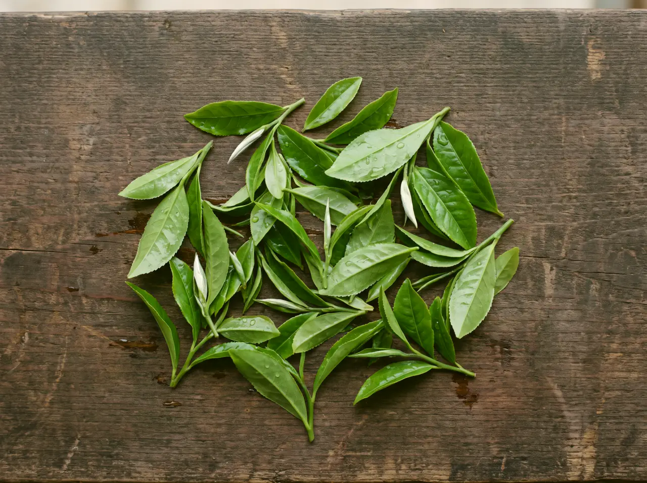Freshly plucked tea leaves, bright green, on a weathered wooden board.