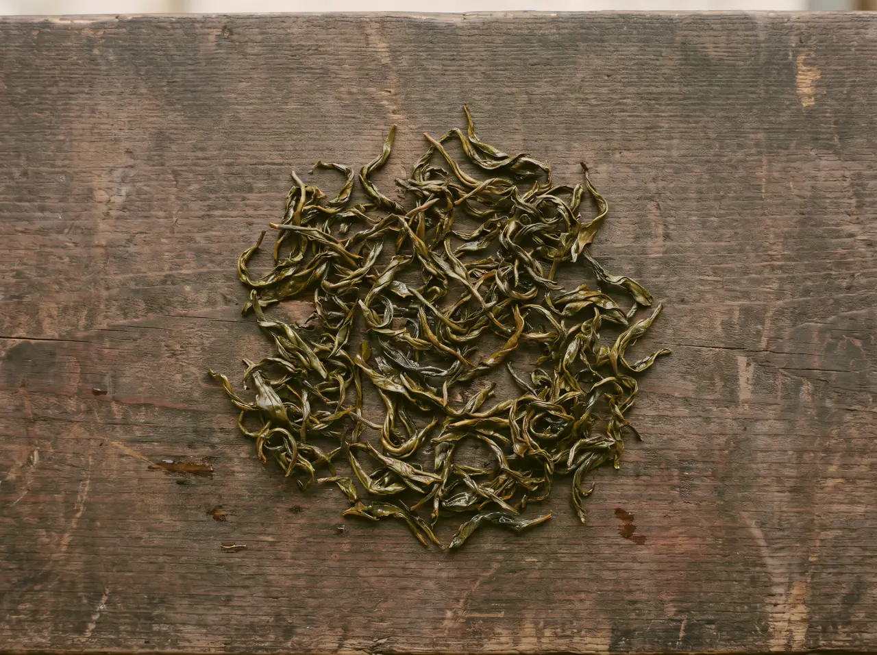 The leaves rolled into twisted bronze-green strands.